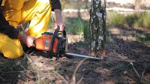  , USA Tree Care Pros